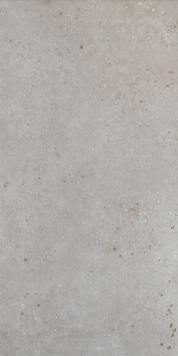 Porcelain Pavers - "X-Silver"